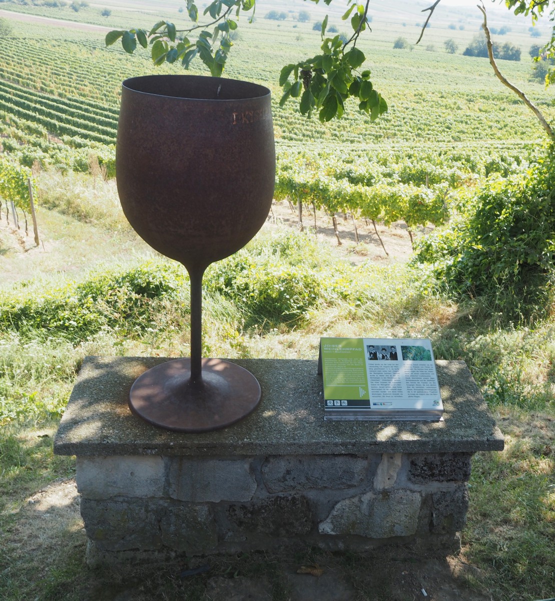 Weinlehrpfad im Weingut Hillinger in Jois