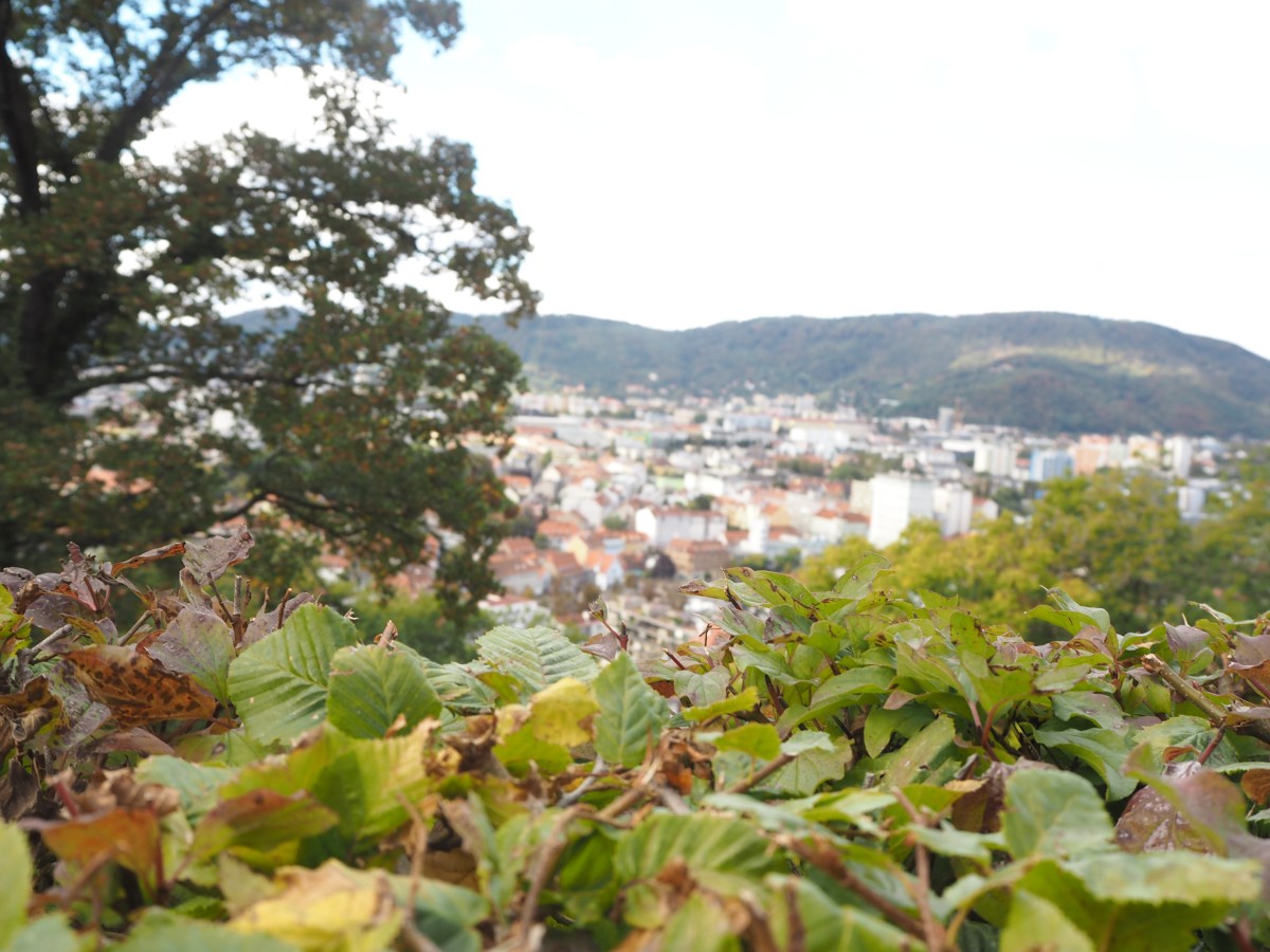 Ausblick über Graz vom Schloßberg mit Bäumen